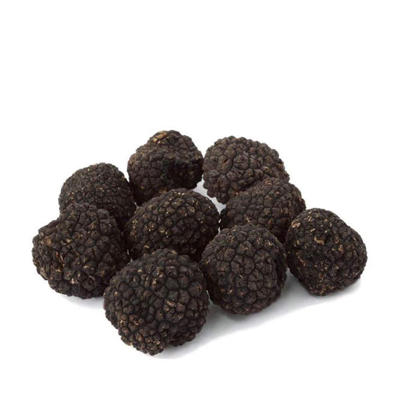 Trufas Frescas Burgundy Urbani 115 g